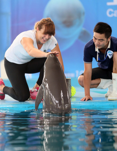 阿森西奥的 阿森西奥的