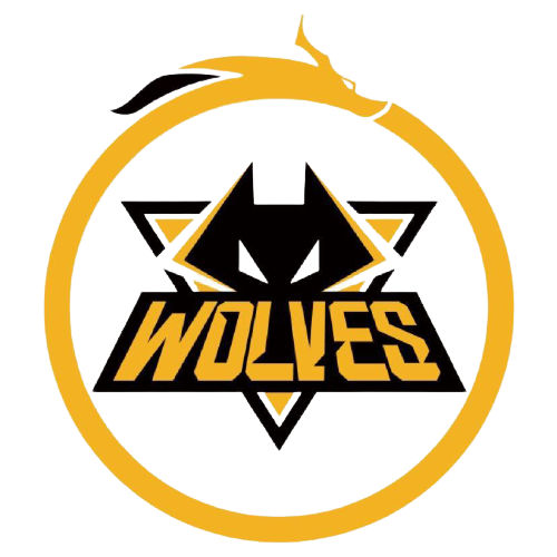 往往在大赛 往往在大赛